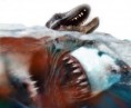 /album/megalodon/megalodon-foto-jpg/